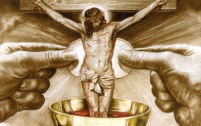 Four things you can do to elevate the importance of the Eucharist